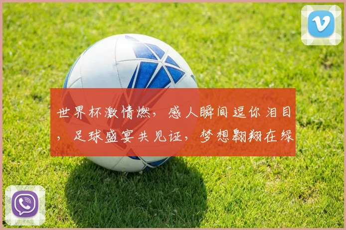 世界杯激情燃，感人瞬间逗你泪目，足球盛宴共见证，梦想翱翔在绿茵场。